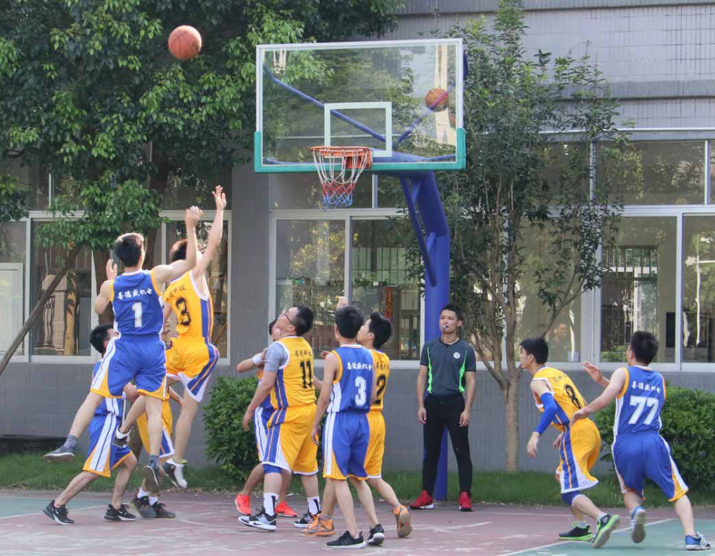 广东葆德科技有限公司篮球比赛